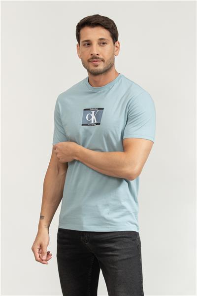 Calvin Klein Erkek Bisiklet Yaka T-Shirt