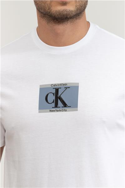Calvin Klein Erkek Bisiklet Yaka T-Shirt