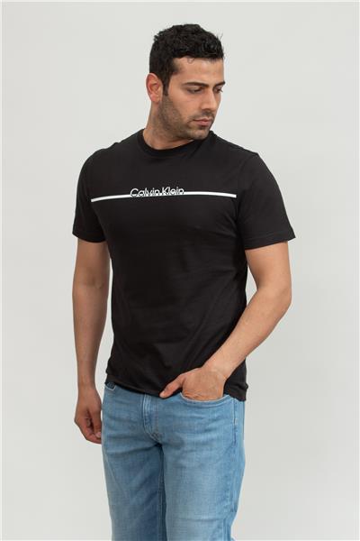 Calvin Klein Erkek Bisiklet Yaka T-Shirt