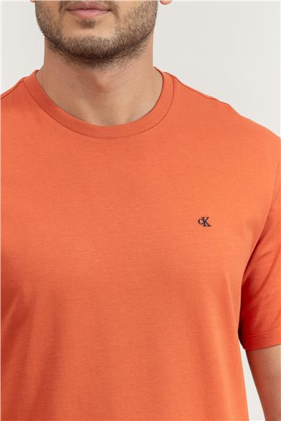 Calvin Klein Erkek Bisiklet Yaka T-Shirt