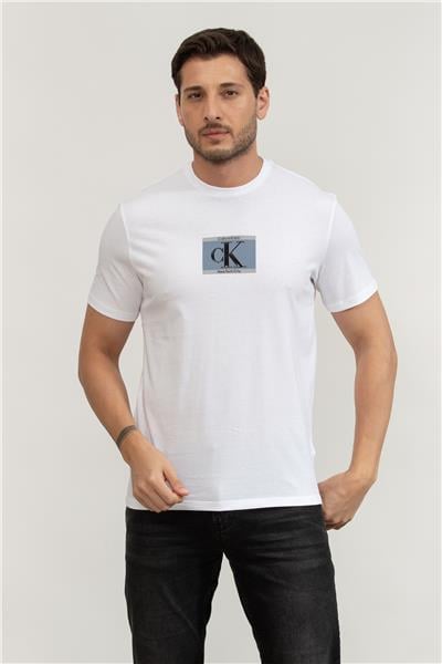 Calvin Klein Erkek Bisiklet Yaka T-Shirt