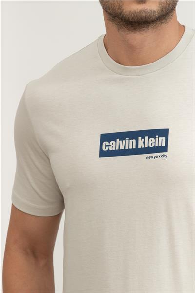 Calvin Klein Erkek Bisiklet Yaka T-Shirt