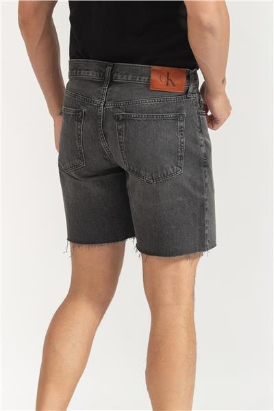 Calvin Klein Erkek Şort