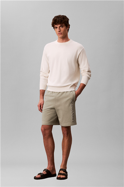 Calvin Klein Eu 350Terry Graphic Erkek Şort