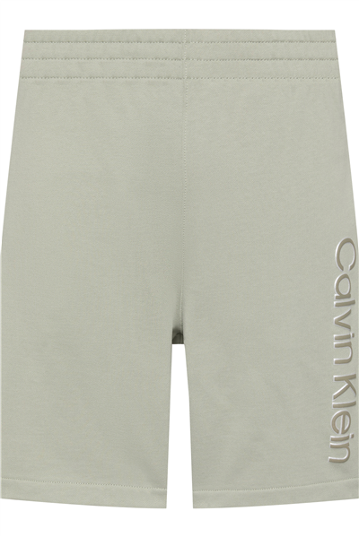 Calvin Klein Eu 350Terry Graphic Erkek Şort