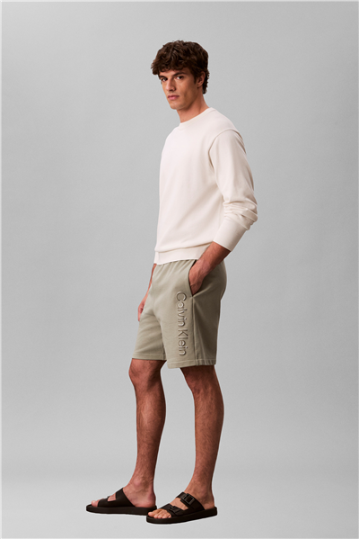 Calvin Klein Eu 350Terry Graphic Erkek Şort