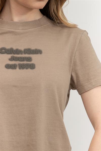 Calvin Klein Kadın Bisiklet Yaka T-Shirt Gri