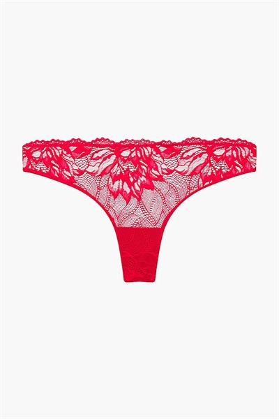 Calvin Klein Kadın Külot