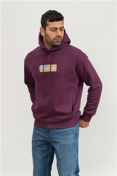 Calvin Klein Layered Gel Logo Erkek Kapüşonlu Sweatshirt Mor