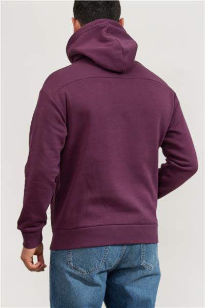 Calvin Klein Layered Gel Logo Erkek Kapüşonlu Sweatshirt Mor