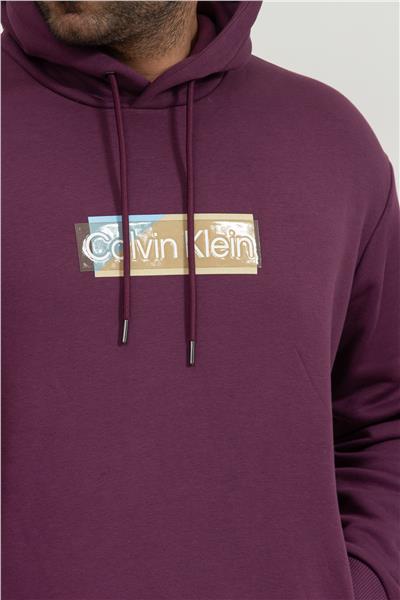 Calvin Klein Layered Gel Logo Erkek Kapüşonlu Sweatshirt Mor