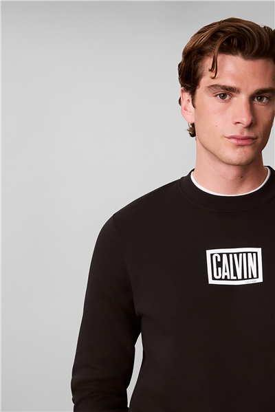 Calvin Klein Ls 350Terry Eu Clvin Box Logo Cn Erkek Bisiklet Yaka Sweatshirt Siyah