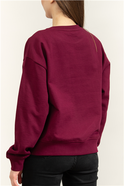 Calvin Klein LS Archive Logo French Terry Rlx Kadın Bisiklet Yaka Sweatshirt