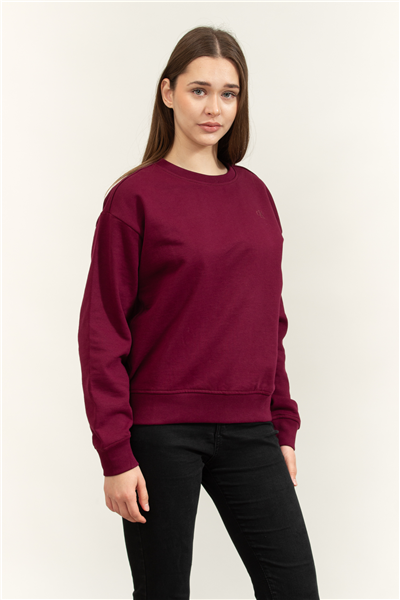 Calvin Klein LS Archive Logo French Terry Rlx Kadın Bisiklet Yaka Sweatshirt