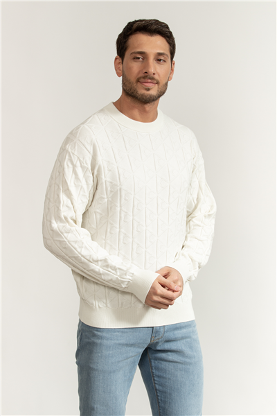 Calvin Klein LS Easy Aop Cotton Crewnk Sweate Erkek Triko