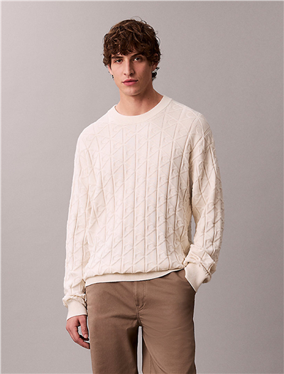 Calvin Klein LS Easy Aop Cotton Crewnk Sweate Erkek Triko Beyaz