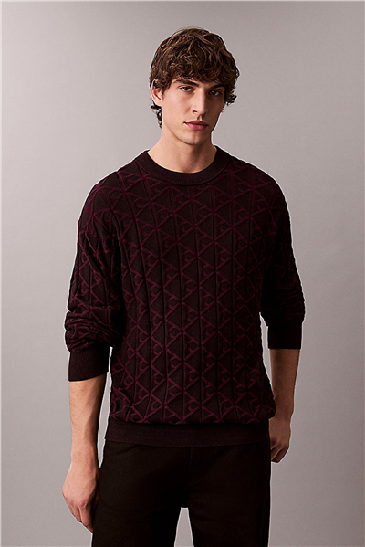 Calvin Klein LS Easy Aop Cotton Crewnk Sweate Erkek Triko Siyah