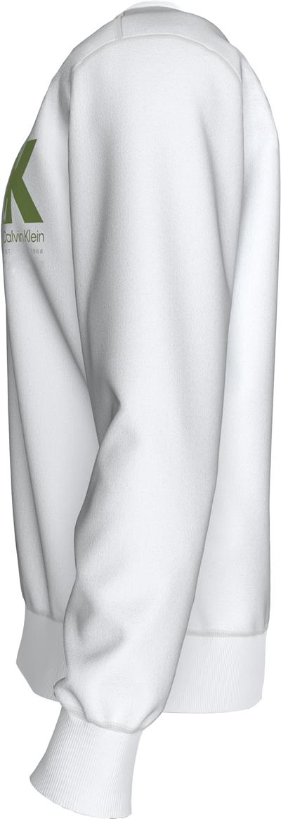 Calvin Klein Ls Eu 350Terry Ck Overlap Graphi Erkek Sweatshirt