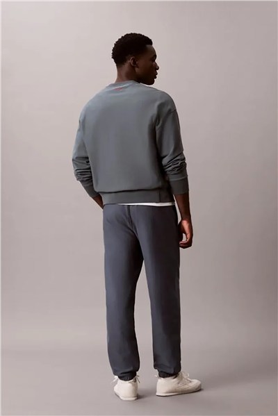 Calvin Klein Premium Terry Graphic Jogger Erkek Eşofman Altı