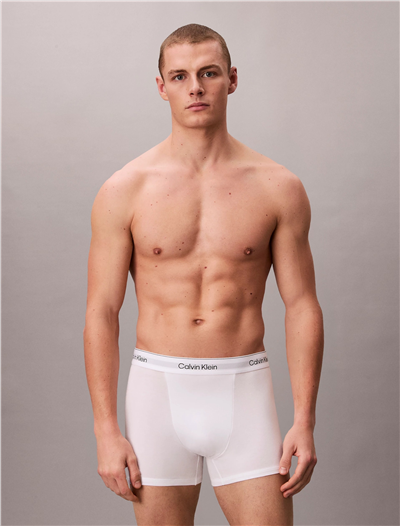 Calvin Klein Relaxed Fit Trunk 3PK Erkek 3lü Boxer Çok Renkli