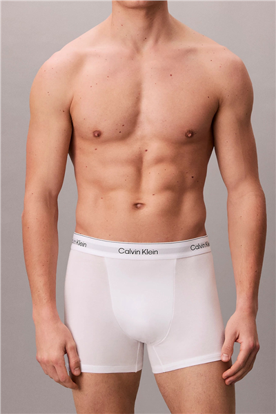 Calvin Klein Relaxed Fit Trunk 3PK Erkek 3lü Boxer Çok Renkli