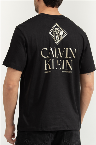 Calvin Klein SS 20S Calvin Roses Graphic Tee Erkek Bisiklet Yaka T-Shirt