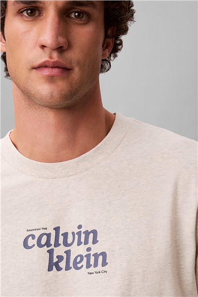 Calvin Klein Ss 20S Calvinklein Trvl Font Gra Erkek Bisiklet Yaka T-Shirt Gri