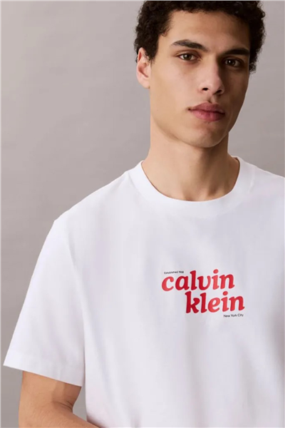 Calvin Klein Ss 20S Calvinklein Trvl Font Gra Erkek Bisiklet Yaka T-Shirt Beyaz