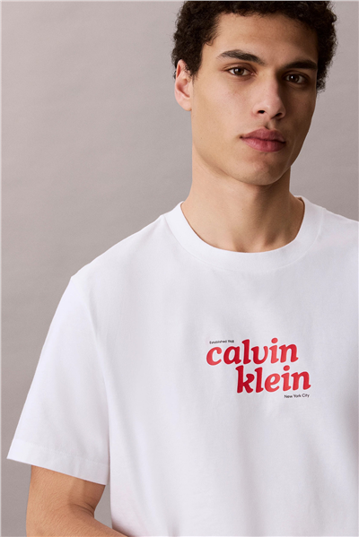 Calvin Klein Ss 20S Calvinklein Trvl Font Gra Erkek Bisiklet Yaka T-Shirt Beyaz
