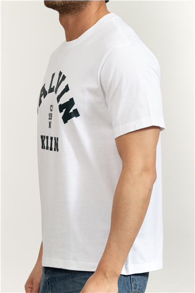 Calvin Klein SS 20S LN Calvin College Graphic Erkek Bisiklet Yaka T-Shirt