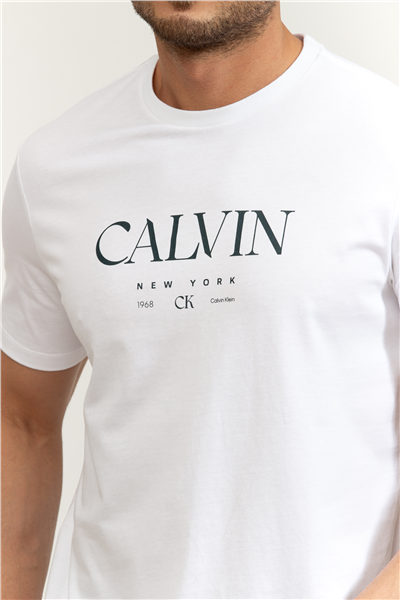 Calvin Klein SS 20S LN Calvin Graphic Tee Erkek Bisiklet Yaka T-Shirt