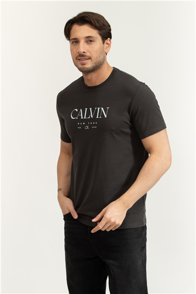 Calvin Klein SS 20S LN Calvin Graphic Tee Erkek Bisiklet Yaka T-Shirt