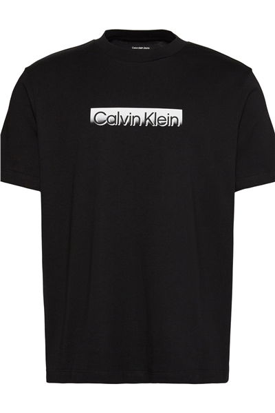 Calvin Klein Ss 20S Tonal Metalli Erkek Bisiklet Yaka T-Shirt