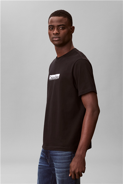 Calvin Klein Ss 20S Tonal Metalli Erkek Bisiklet Yaka T-Shirt