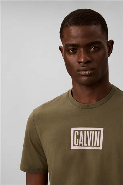 Calvin Klein Ss 30S Eu Boxed Calvin Graphic T Erkek Bisiklet Yaka T-Shirt Yeşil