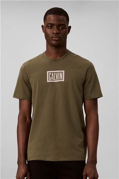 Calvin Klein Ss 30S Eu Boxed Calvin Graphic T Erkek Bisiklet Yaka T-Shirt Yeşil