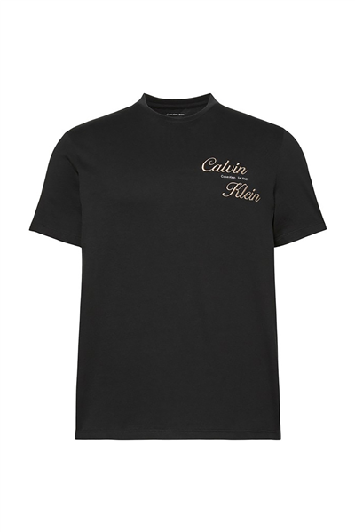 Calvin Klein Ss 30S Eu Calvin Klein Resrt Gra Erkek Bisiklet Yaka T-Shirt Siyah