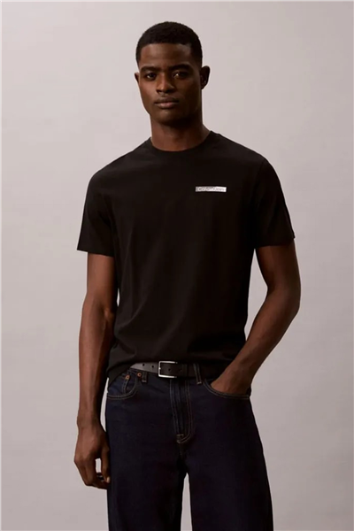 Calvin Klein Ss 30S Eu Spw Split Stndrd Graph Erkek Bisiklet Yaka T-Shirt Siyah