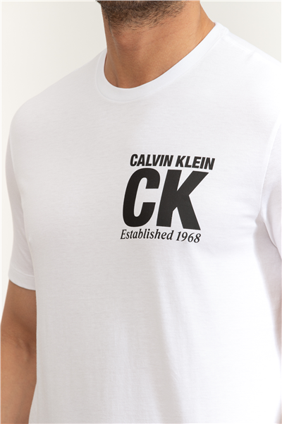 Calvin Klein SS 30S Whsl SP CK Corner Graphic Erkek Bisiklet Yaka T-Shirt