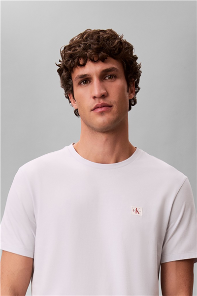 Calvin Klein SS Badge 30S Jersey Classic Tee Erkek Bisiklet Yaka T-Shirt Gri