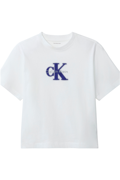 Calvin Klein Ss Boxy Seasonal Mon Kadın Bisiklet Yaka T-Shirt