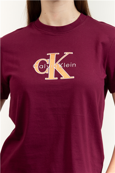 Calvin Klein SS Classic Monologo Metallic Cne Kadın Bisiklet Yaka T-Shirt