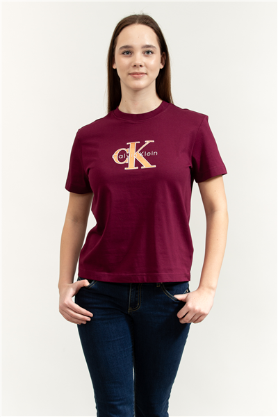 Calvin Klein SS Classic Monologo Metallic Cne Kadın Bisiklet Yaka T-Shirt