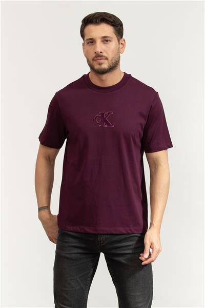 Calvin Klein Ss Gift Giving 20S Easy Tee Erkek Bisiklet Yaka T-Shirt Mor