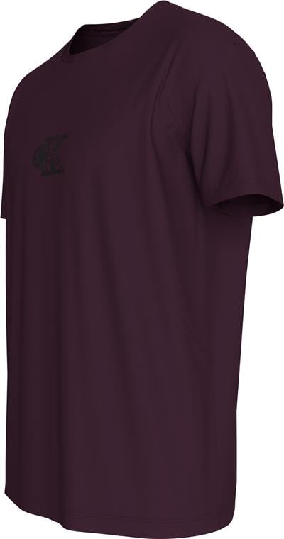 Calvin Klein Ss Gift Giving 20S Easy Tee Erkek Bisiklet Yaka T-Shirt