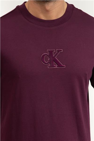 Calvin Klein Ss Gift Giving 20S Easy Tee Erkek Bisiklet Yaka T-Shirt Mor