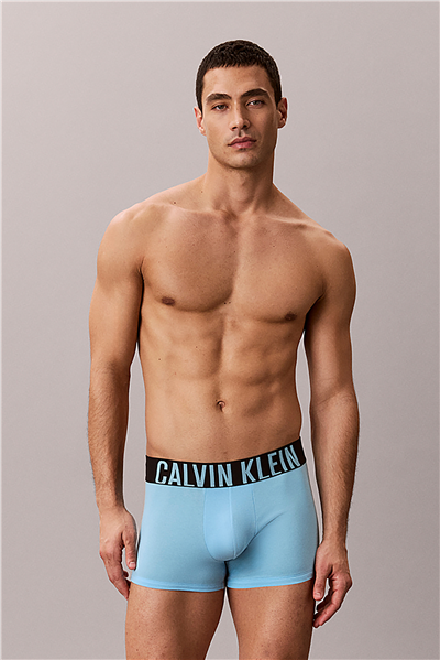 Calvin Klein Trunk 3Pk Erkek 3lü Boxer