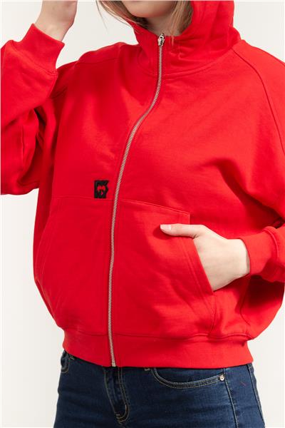 DKNY Kadın Kapüşonlu Sweatshirt