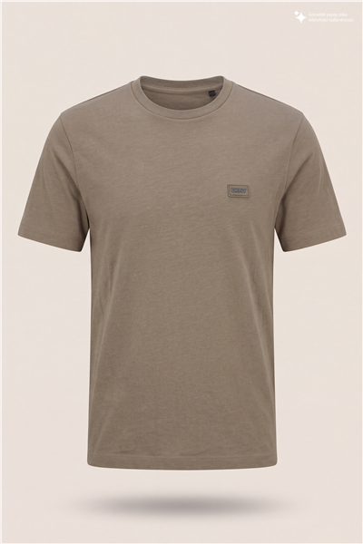 DKNY Silicone Logo Patch Tee Erkek Bisiklet Yaka T-Shirt Vizon