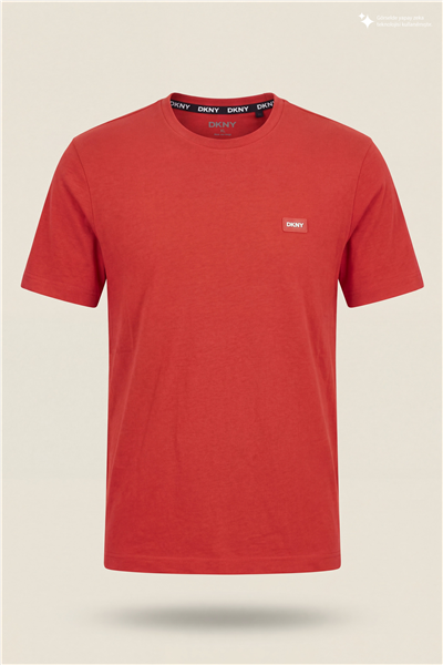 DKNY Silicone Logo Patch Tee Erkek Bisiklet Yaka T-Shirt Kiremit
